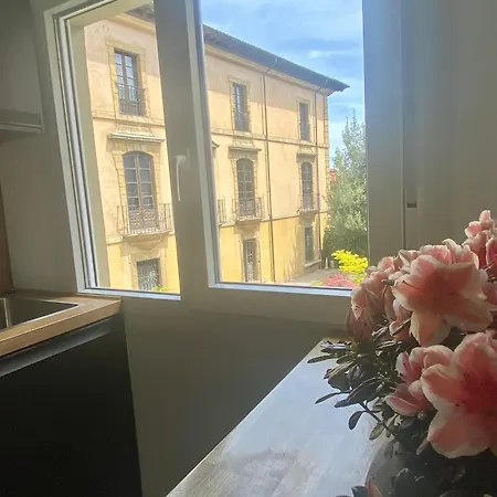 Nuevo!! San Antonio - Al Lado De La Catedral * Oviedo